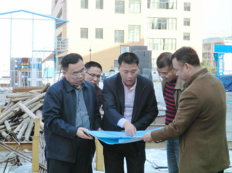 党委书记雷春国调研2019年学校工程项目建设