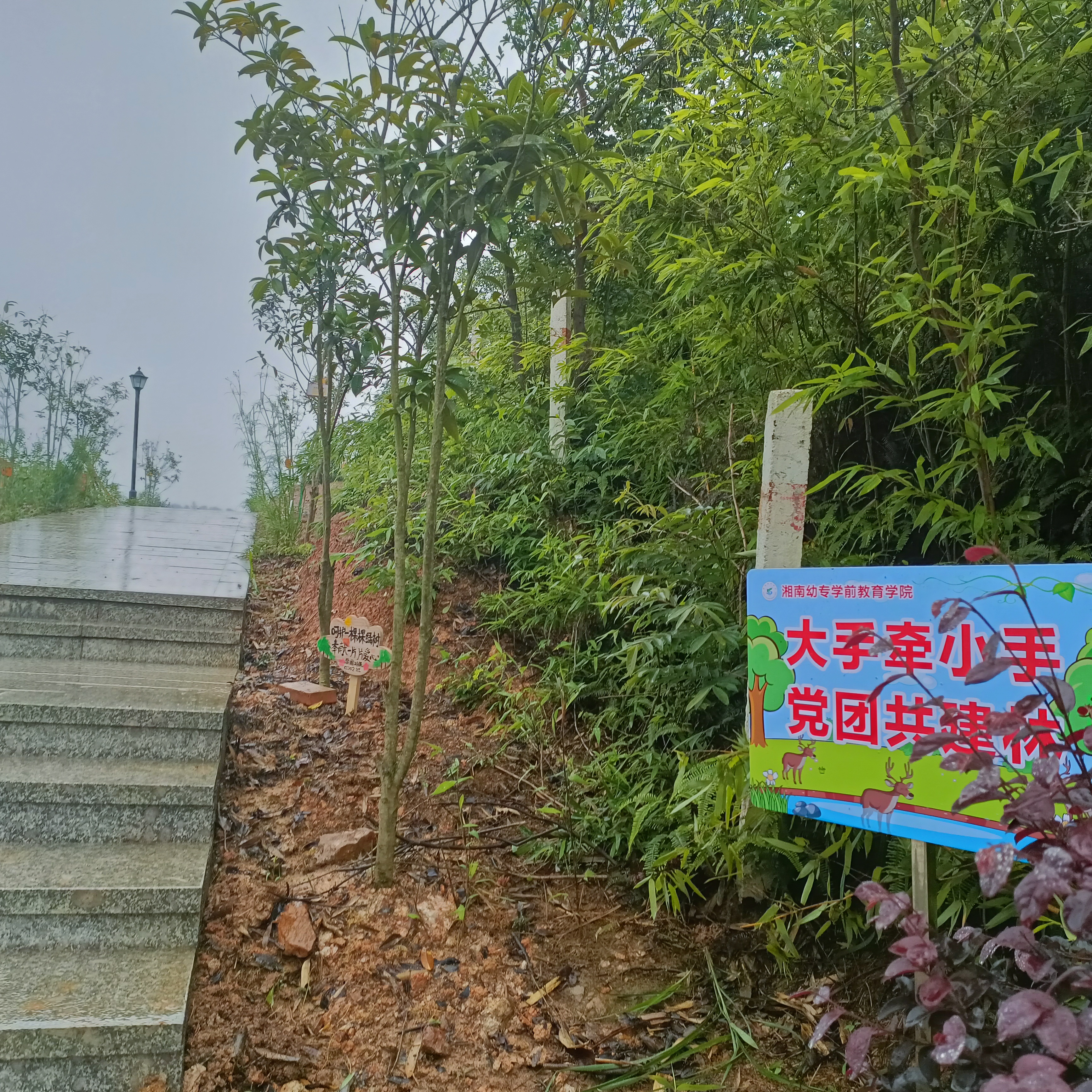 备选1.jpg