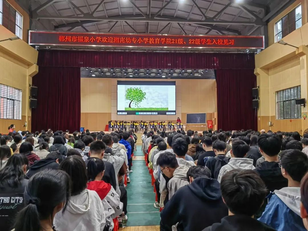 图片19.png