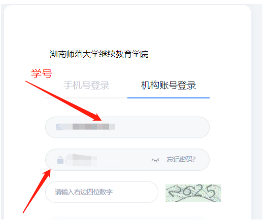 湖南师范大学自考成考本科生学士学位外语学业水平考试报名流程